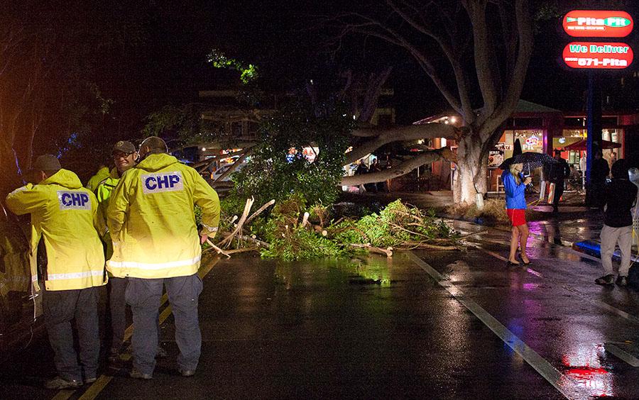 California Highway Patrol officers watch as the local news reports on a fallen tree limb from heavy rainfall on the corner of Embarcadero del Mar and Trigo Rd. on Friday, Oct. 31, in Isla Vista, Calif. Halloween weekend in Isla Vista usually draws thousands of people, but this year it was almost deserted because of enhanced safety regulations and the unexpected rainstorm.