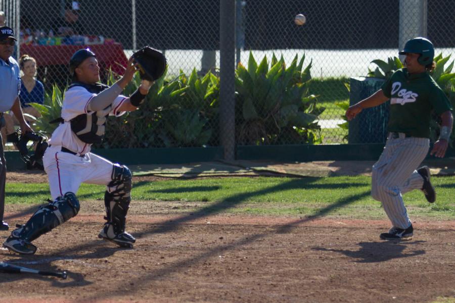 City College catcher James Hill (No. 15) tags out East Los Angeles College first baseman Larson Anzaldo (No. 10), allowing no scored runs, Thursday, Feb. 12, at Pershing Park in Santa Barbara. The Vaqueros went on to close out the game 5-0, making for a 5 game winning streak.
