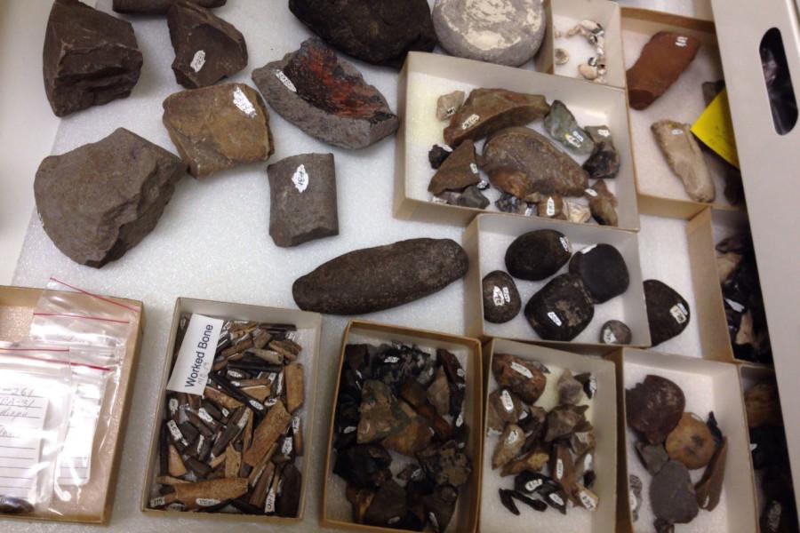Chumash artifacts made from stone and bone, excavated by now-reitred Anthropology Professor Denis Ringer and his archaeology field classes from 1969-1974, from a site on City Colleges East Campus called Mispu, meaning Place of the Hand, pictured Monday, April 20, 2015, at The Santa Barbara Museum of Natural History. The site is estimated to be over 8,000 years old.