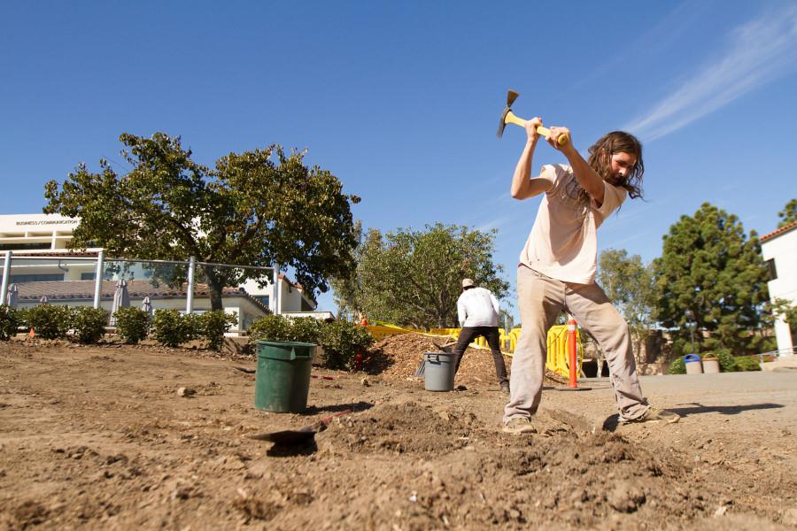 Johnny Tisdal, who is not enrolled at City College, volunteers to help the students with the permaculture project, Sunday afternoon, Nov. 8, on West Campus at City College.The permaculture garden will house perennial fruit trees and an annual vegetable garden.