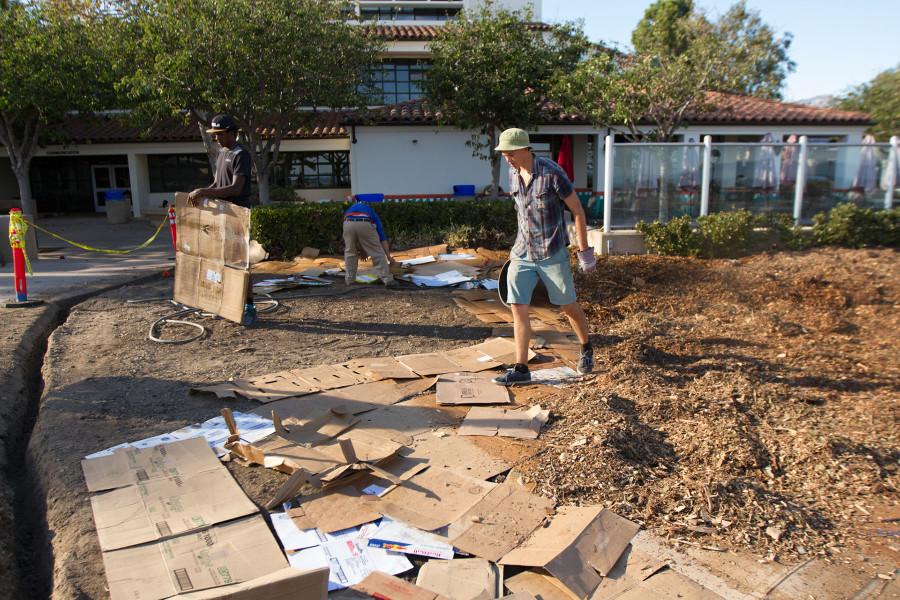 Environmental science major Jackson Hayes spreads mulch on Sunday afternoon, Nov. 8, in front of the West Campus Snack Shack at City College. The cardboard and mulch are reclaimed recycled materials from campus.