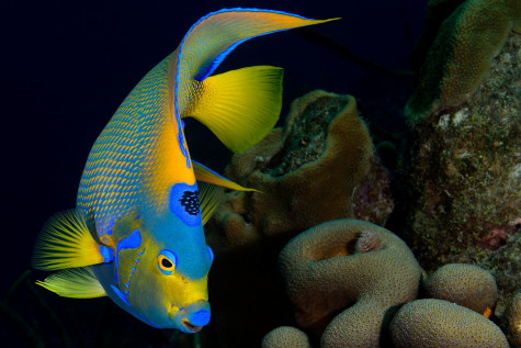 Photo by Associate Professor Michael Gallegos.