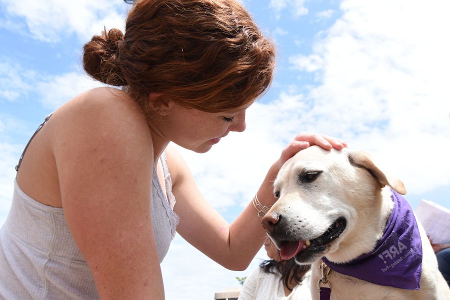 City College geology major Riley Rohrer, 19, sits and pets Ellie during the ‘Check out a Dog and Lower Your Stress’ event on Thursday afternoon, May 5, outside the Luria Library at Santa Barbara City College. The event was put on to help students relieve stress before finals week.