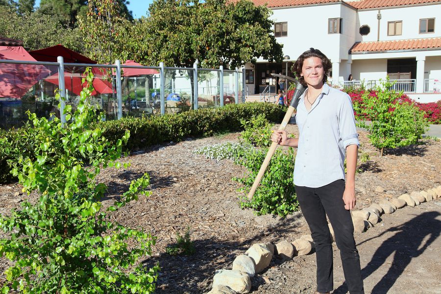 Jackson Hayes, student sustainability coalition president, stands in front of a new garden on Tuesday, Nov. 15, outside the City College West Campus Cafeteria. The gardens are made to make a more sustainable campus.