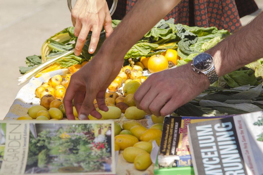 The Student Sustainability Coalition club booth at the City College Earth Day festival on Thursday, April 20, in the Great Meadow on West Campus. The Student Sustainability Coalition club was giving away free Organic fruits and vegetables including oranges, lemons, Swiss chard, and lime-quats which are a mix between a lime and a kumquat.