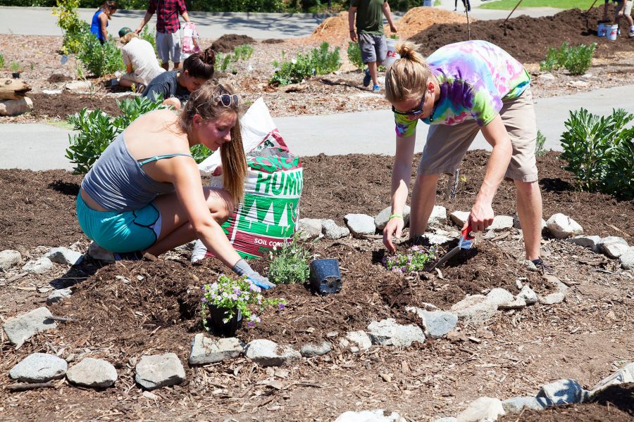 From left, Nicole Wegrzyniak and Nickolas Teresi plants new flowers in the Permaculture Garden on Friday, April 21, on West Campus near the Business Communication Building.
