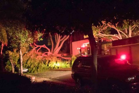 Collapsed tree that caused a transformer to blow out, one injury and displaced an entire apartment complex early Tuesday morning, Sept. 5, 2017 in Santa Barbara, Calif. The incident caused a power outage that affected Santa Barbara City College and nearby neighborhoods