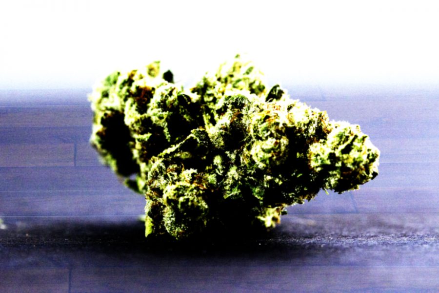 Examining SBCCs marijuana policy post-legalization