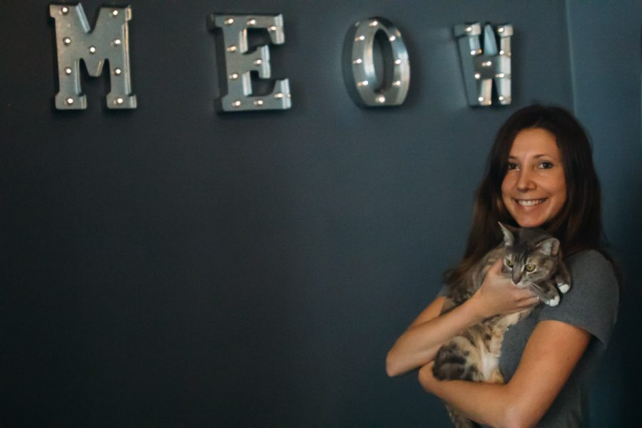 Catalina Esteves, owner of Cat Therapy in Santa Barbara, partners up with local animal shelters and helps cats find a permanent home. Animal lovers can come cuddle with a loving cat in the cafe.