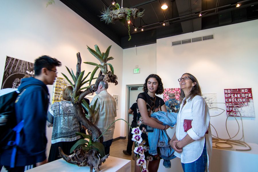 Art enthusiasts admire rainforest epiphytes, a desert tree, a piece created by student Kiran Joseph Schewaebe for the Annual Student Exhibition on Friday, April 13, at the Atkinson Gallery.