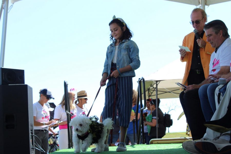 Toby Miller and her dog Bubbles wearing a bee dress for the costume contest at the Wags n’ Whiskers Festival on Saturday, Oct. 12, 2019, on the West Campus Lawn at City College in Santa Barbara, Calif.

