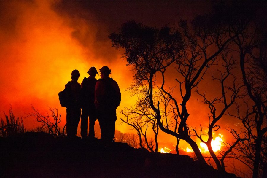 Santa Barbara Firefighters stand on the edge of East Camino Cielo road as the Cave Fire pushes downhill towards Santa Barbara on Monday, Nov. 25, 2019, in Santa Barbara, Calif. The Fire started around 4 p.m. and has grown to an estimated 3,122 acres.