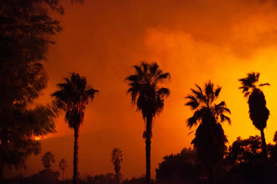 Palm trees blow in the wind during the Cave Fire on Monday, Nov. 25, 2019, in Santa Barbara, Calif. Wind gusts of up to 50 miles per hour helped drive the fire towards residential areas.