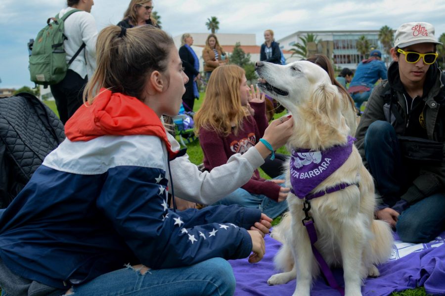 City College students pet and interact with therapy dog Lily-Rose on the West Campus lawn during the Wag Well Be Well Dog Therapy Event on Tuesday, Dec. 3, 2019, at City College in Santa Barbara, Calif. Lily-Rose is nine years old and has been working as a therapy dog for seven years.