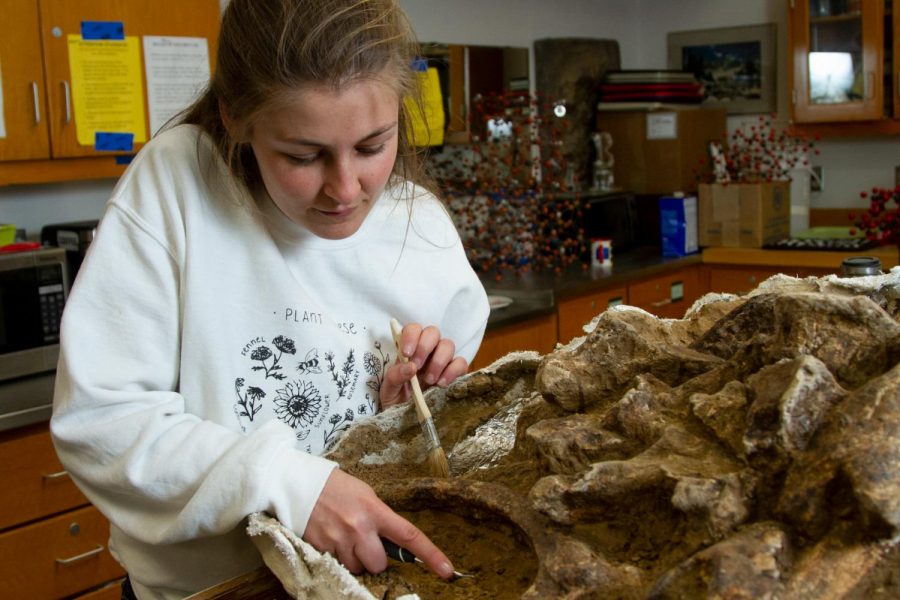 Lydia Kaestner brushes at the mass of fossils found by City College alumni, staff and students Christopher Ryan, Anna Hilliard, Melissa Mauas, Lydia Kaestner, Riley Vance-Gydesen, and Eiko Kitao on Saturday Feb.29, 2020, at Vandenberg Air Force Base in Santa Barbara County, Calif. Kaestner is one of the five people who were on-site when it was found.