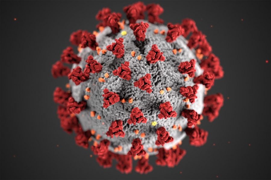 This illustration, created at the Centers for Disease Control and Prevention (CDC), reveals ultrastructural morphology exhibited by coronaviruses. Note the spikes that adorn the outer surface of the virus, which impart the look of a corona surrounding the virion, when viewed electron microscopically.