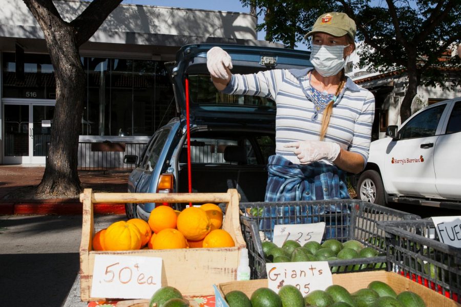 Juliana Bertelsen sells avocados, oranges and rhubarb as her main source of income during the pandemic after loosing her job as a massage therapist, Tuesday, April 21 2020 in Downtown Santa Barbara, Calif.