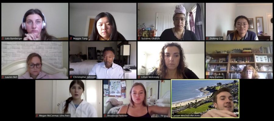 City College's Fall 2020 Associated Student Government in a Zoom meeting October 9, 2020.