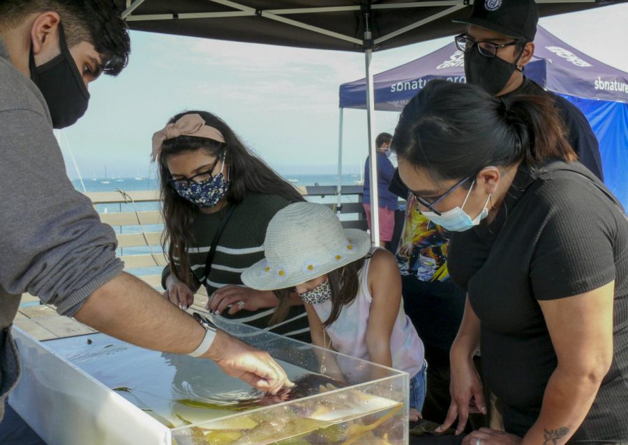 Delilah Cosmi, left, her sister Abigail, 5, and mother Cynthia Cosmi touch a sea cucumber in a tank filled with sea cucumbers, sea urchins and sea stars at the Santa Barbara Museum of Natural History Sea Center on Oct. 3 in Santa Barbara, Calif. The museum has an outside exhibit filled with different marine animals and fossils, but will open their inside facility again on Oct. 15.