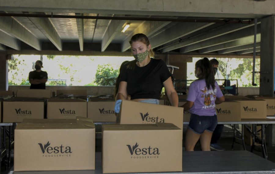 Astrid Bladh organizes the boxes filled with food before the food distribution site opens for the Food Pantry on Oct. 14, 2020, in the West Campus parking lot at City College, in Santa Barbara, Calif. The boxes were filled with cheese, milk, eggs and bread.