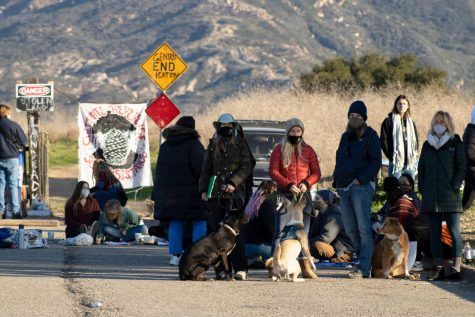 From left, Nancy Tubiolo, Dani Lynch, Julia Laraway and Samantha Eddy, the four organizers behind Save San Marcos Foothills on Feb. 26, 2021, at San Marcos Foothills Preserve in Santa Barbara, Calif. They said that this effort would not have been possible without the ongoing support from the Santa Barbara and Indigenous communities.