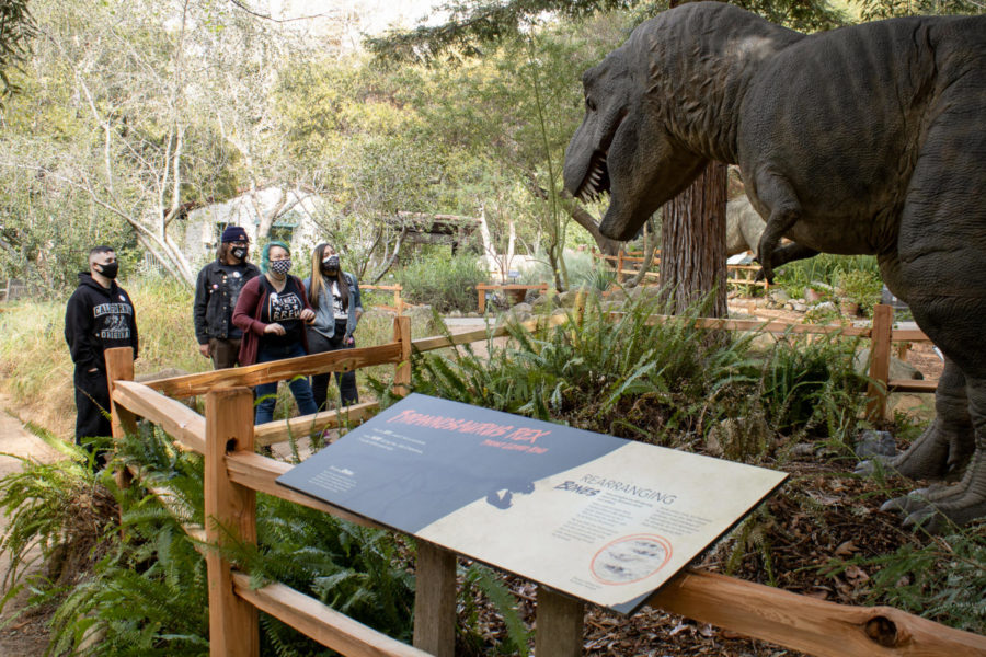 From left, Alex Jimenez, Francisco Guzman, Dylan Otte and Melissa Guajardo feast their eyes upon the terrifyingly accurate Tyrannosaurus rex on March 10, 2021, at the Santa Barbara Museum of Natural History. Otte is a naturalist at the museum and has been working there since 2018, and was giving her friends a private tour around the exhibit while relaying plenty of information and anecdotes throughout.