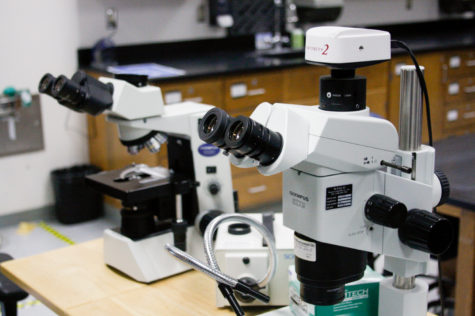 Two microscopes sit at the front of a classroom in the Earth and Biological Sciences building on April, 26 at City College in Santa Barbara, Calif. The camera on the top of the right microscope allows teachers to show students what they're seeing, but the quality of the cameras has diminished over the years.