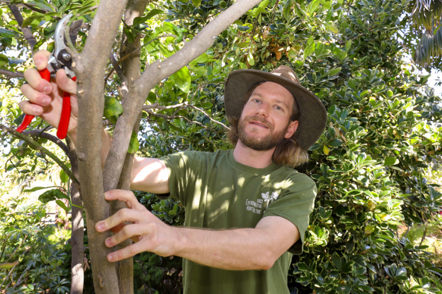 Lewis Daniel trims away unhelpful branches from one of the saplings on April 27, at the Landscape Gardens on East Campus at City College in Santa Barbara, Calif. Daniel graduated from UCSB in 2011 with a film degree and after working in the industry with 70 hour work weeks with no breaks he decided to choose a new path at City College hoping to leave with landscaping license or arborist certification.