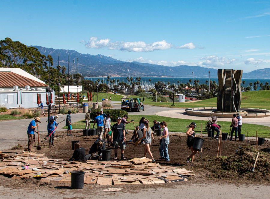 Image courtesy of professor Adam Green. Volunteers work to lay cardboard over dirt and cover it with mulch in a process of improving the soil while building the SBCC Permaculture Garden on October 20, 2017, at City College in Santa Barbara, Calif.