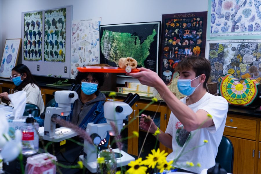 From right, Bernardo Moreno holds up a loofah sponge as Rayyan Tarin observes on Dec. 1 during the Plant Biology lab in the Earth and Planetary Sciences building at City College in Santa Barbara, Calif. These naturally made sponges were the catalyst of the sponges many people use for bathing today.