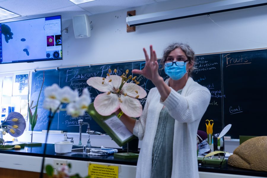 Professor Jennifer Maupin holds up a model flower for her Plant Biology class on Dec. 1 in the Earth and Planetary Sciences building at City College in Santa Barbara, Calif. Maupin also uses her hand to demonstrate the shape of the flower.