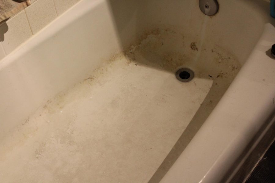 Black mold grows in the bathtub of one of the units at the Beach City student housing complex on Friday, Feb. 25 in Santa Barbara, Calif.