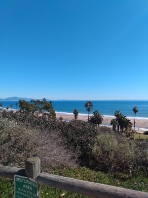 A picture taken by Casandra Mullen while walking on a trail along West Beach in Santa Barbara, Calif.