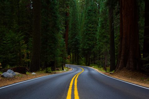 The middle of the road at Sequoia National park on Oct. 28. “I love being in the nature, I love doing and exploring things with my friends, I love adventuring and in general I love being physically active,” Klara Tigges wrote. “Moreover, one can not see where this road is leading to. This is supposed to show that I am discovering new things which is what I love to do in life and it is what I am doing right now while living as an international student for one semester abroad, here in Santa Barbara. I am on an unknown road right not knowing where it is going to lead me in life while I enjoy my life discovering a new country, culture, nature and society.”