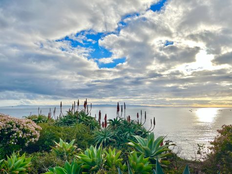 The sky on a foggy morning in December 2021 in Montecito, Calif. "Taking walks along Channel Drive in Montecito on foggy mornings are what bring me joy," Clara Bakus wrote.