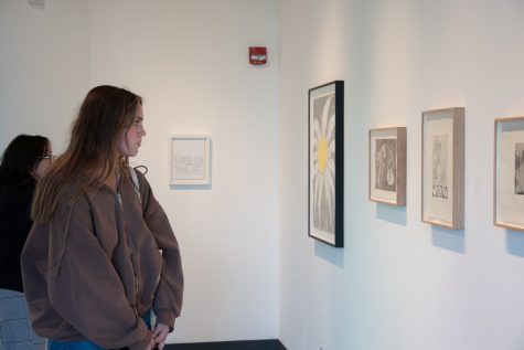 English Major Ali Korahais inspects “Legato” by Mimi Lauter (2019) on Nov. 3 at the Atkinson Gallery in Santa Barbara, Calif. Korahais was one of many City College students engaging with the new “Works on Paper” art installation.