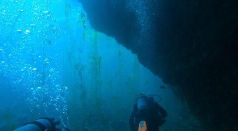 James Tennant and Andrew Rocchio scuba diving at Anacapa Island on Oct. 2. “I love the freedom of being in the water and feeling like I’m a part of the marine world,” Zoe Valle wrote. “Just by looking at this simple image I took with my GoPro, it is able to calm me and remind me of what I love.”