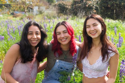 Julia Torres (far left), Alexis Chavez (center), and Sunny Silverstein (far right) sit in a field of lavender in Santa Barbara, Calif. All three young women write for the Channels.