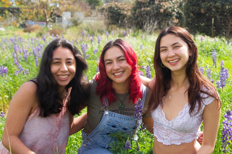 Julia Torres (far left), Alexis Chavez (center), and Sunny Silverstein (far right) sit in a field of lavender in Santa Barbara, Calif. All three young women write for the Channels.
