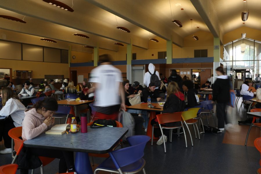 Students and faculty snake across the Cafeteria at City College on Thursday, Feb. 16 in Santa Barbara, Calif.