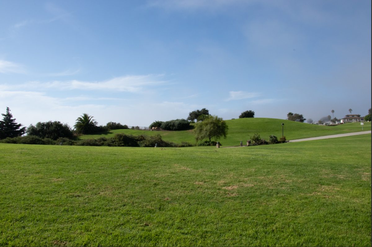 As one of the land marks of City College, the Great Meadow hosts many students faculty and dogs on Oct. 16 in Santa Barbara, Calif. The Great Meadow is one of the most popular spots on campus for students to lounge, do homework and socialize. 