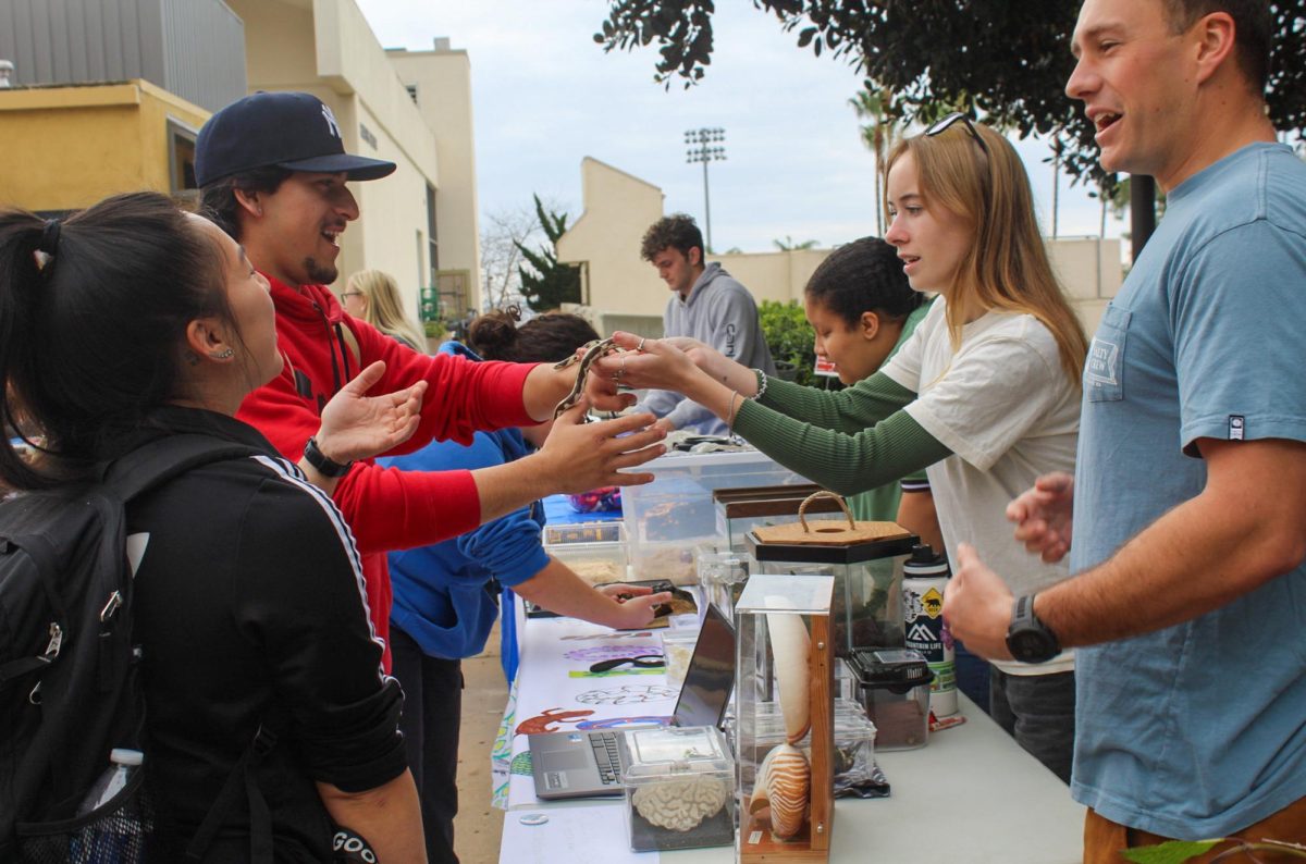 Caroline Hatcher, a member of the Biology club, hands a snake to Gabriel Santamaria, a student at City College, on Wednesday, Feb. 14 in Santa Barbara, Calif. The club brought many reptiles for students and faculty to see at their stand.