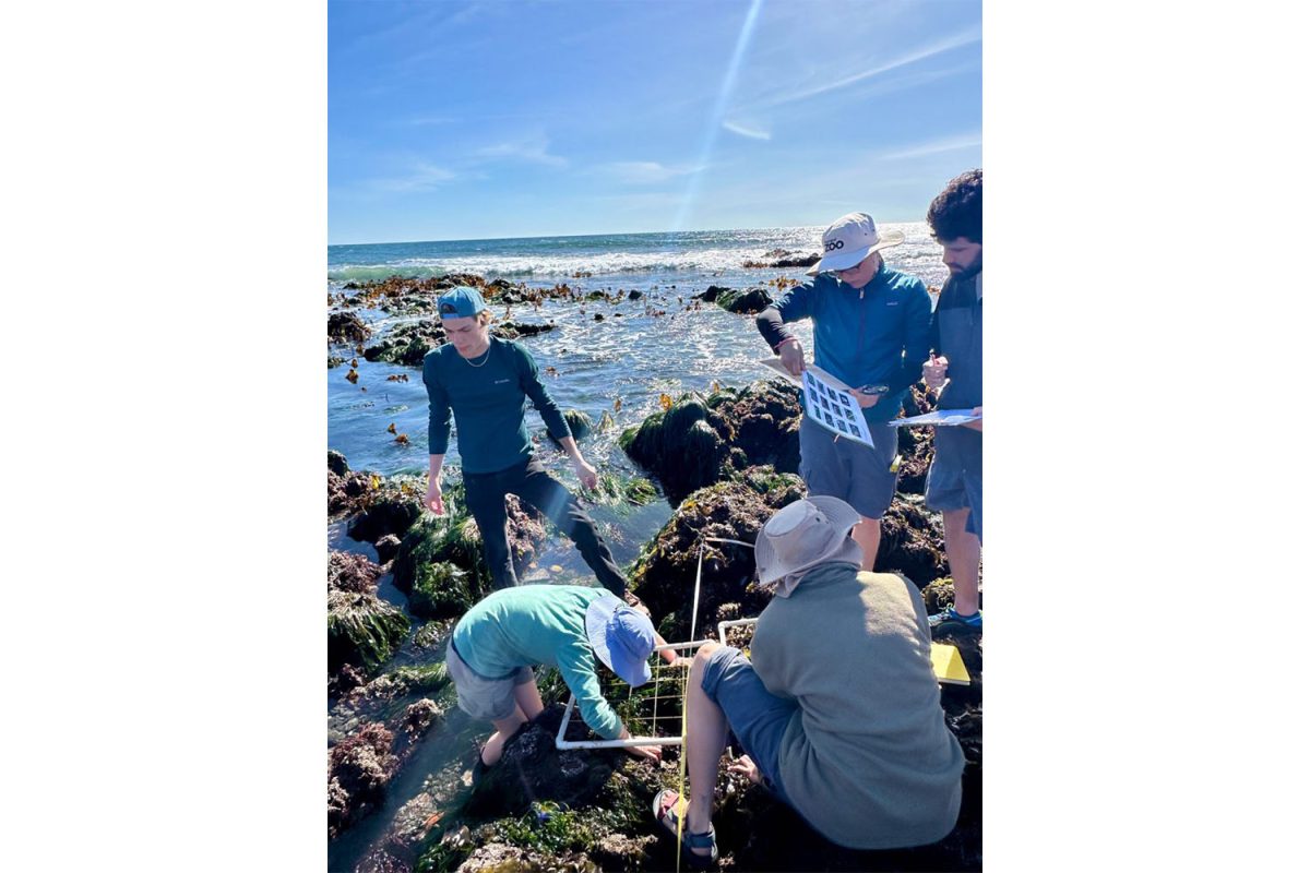 Student in City Colleges marine science class examine tidal pools during low tide in Santa Barbara, Calif. Photo courtesy of Michelle Paddock. 