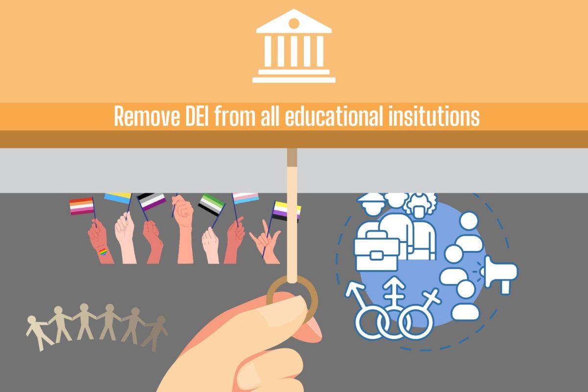 Letter from Department of Education prompts schools to remove DEI
